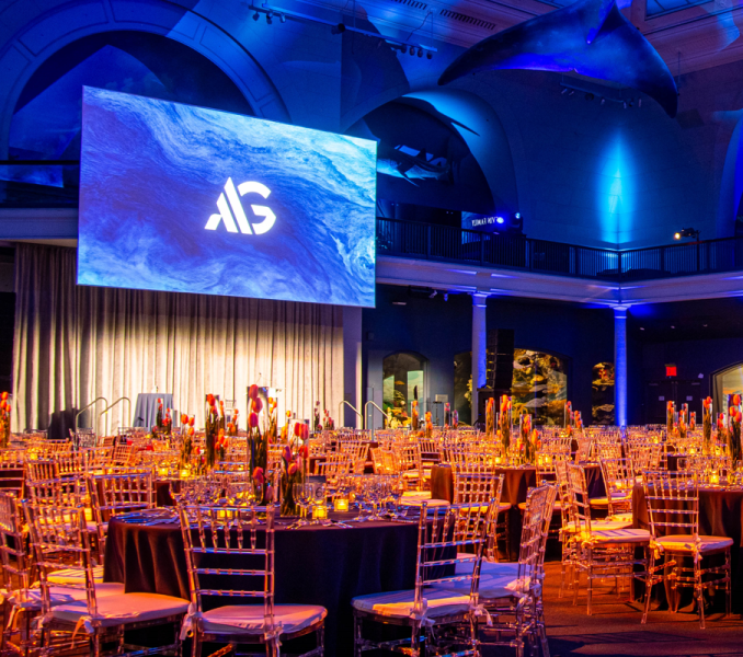 File:Screen in whale room2.png